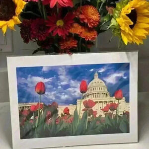Three (3) Photographs of Nation's Capitol by Legendary Photographer Fred Maroon
